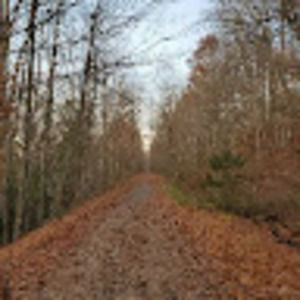 Meet your Posher, Navya